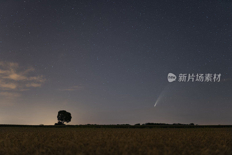 C/2020 F3 comet (NEOWISE) in the evening sky. On the horizon is a silhouette of a tree and a bright comet among the stars. Photographed in Hungary on July 14, 2020.